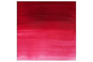 Prof Acrylic 200ML PERMANENT ROSE 502