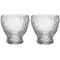 Kosta Boda Moss tumbler-lasi 33 cl 2-pack Kirkas – kuva 8