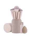 Luvia Nude Aura Pro Brush Set Sivellinsetti 1 kpl