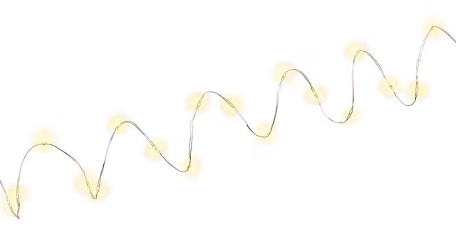 Pro Silver wire light chain with 20 LEDs incl. timer