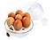 Esperanza EKE001 Egg Master, munankeitin – kuva 8