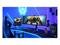 Acer Predator X49Xbmipphuzx (49"), näyttö – kuva 6