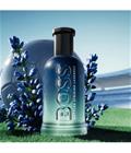 HUGO BOSS Boss Bottled Striking Lavender Eau de Parfum 50 ml