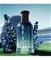 HUGO BOSS Boss Bottled Striking Lavender Eau de Parfum 100 ml – kuva 2
