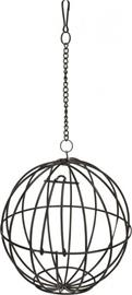 Pallosyöttölaite jyrsijöille Trixie, 16 cm, harmaa
