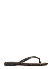 Steve Madden Maliyah - Black - 41