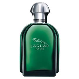 jaguar jaguar for men edt miehille 100 ml