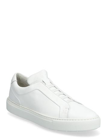 Lloyd Adamo - Navy - 47