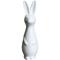 DBKD Swedish rabbit small White – kuva 3