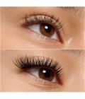 essence what the fake! false lashes - natural cluster brown Ripset 1 g Nr. 05 - Natural Cluster Brown