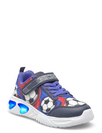 GEOX J Assister Boy B - Multi/patterned - 35