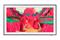 Samsung QE85LS03FWU (85"), QLED-televisio – kuva 7