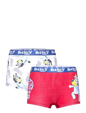 Bluey Boxer - Multi/patterned - 110/116