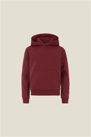 Community 2.0 Hoodie Jr