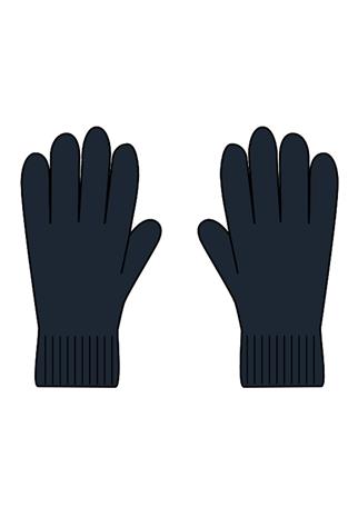 NI 13198611-DAS-8 GLOVES NEUT KNIT