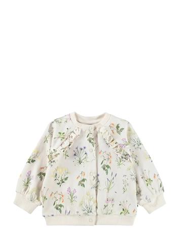 Molo Daphne - Cream - 104