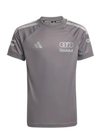 adidas Performance Au Dr Jsy Ss Ry - Grey - 176