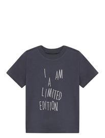 Minymo T-Shirt Ss - Grey - 140