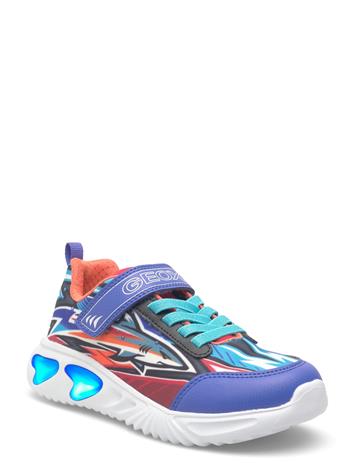 GEOX J Assister Boy B - Multi/patterned - 35