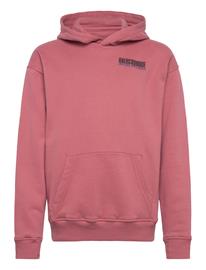 Abercrombie Kids Po-Pull-Over Hoody - Pink - 155/159