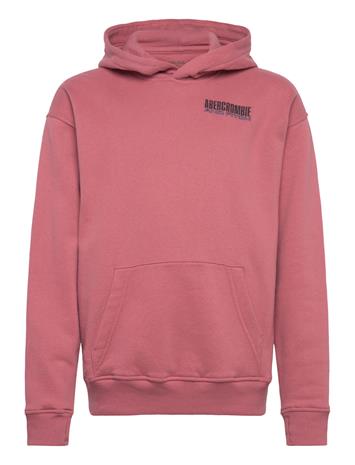 Abercrombie Kids Po-Pull-Over Hoody - Pink - 155/159