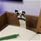 Paladone Minecraft Creeper Book Light – kuva 3