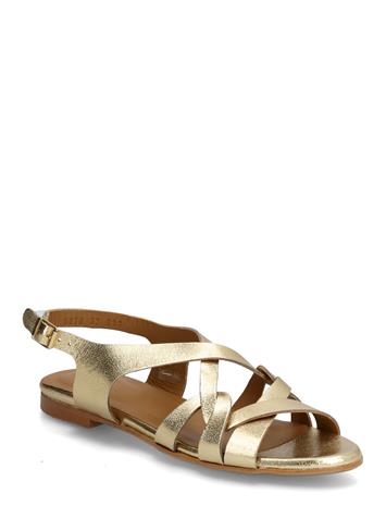 ANGULUS Sandals - Flat - Gold - 42