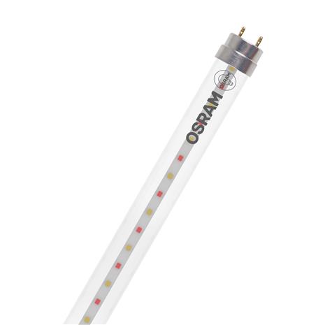 OSRAM LED-kasvilamppu T8 6,6W putki Fluora 2,500K 60cm