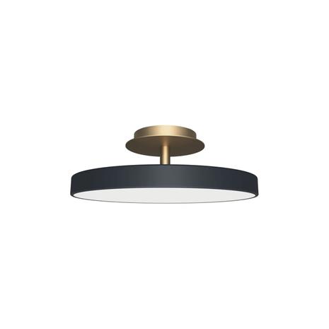 Umage Asteria Up plus mini Antrasiitti