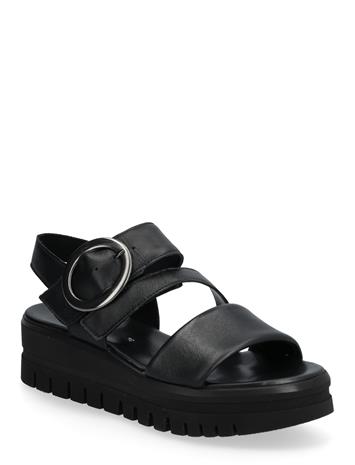 Gabor Sandal - Black - 42