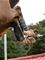 thumb93551876