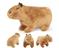 Pehmolelu Capybara Happy People, 23 cm – kuva 1