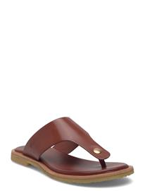 Billi Bi Sandals - Brown - 42