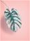 JAIKA LEAF 30X40 JULISTE – kuva 1