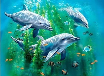 3D LIVELIFE DOLPHIN KELP BED JULISTE