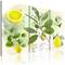 Artgeist Fruit: Lemon taulusetti – kuva 1