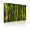 Artgeist Green Bamboo taulusetti – kuva 1