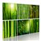 Artgeist Bamboo Has Many Faces taulusetti – kuva 1