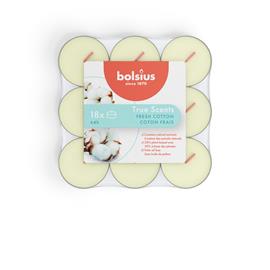 BOLSIUS TRUE SCENTS PUUVIL 18 Lä?MPä?KYNT