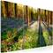 Artgeist Spring Forest taulusetti – kuva 1
