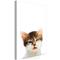 Artgeist Vexed Cat Vertical taulu – kuva 1