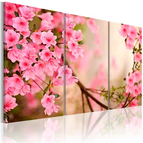 Artgeist Cherry Flower taulusetti – kuva 1/1