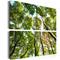 Artgeist Treetops taulusetti – kuva 1