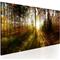 Artgeist Beautiful Forest taulu – kuva 1