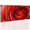 Artgeist Passionate Rose taulusetti – kuva 1
