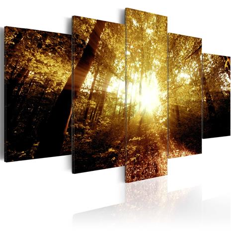 Artgeist Autumn Forest taulusetti – kuva 1/1