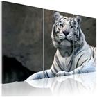 Artgeist White Tiger taulusetti