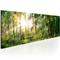 Artgeist Forest Shelter taulu – kuva 1