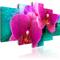 Artgeist Exotic Orchids taulusetti – kuva 1
