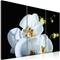 Artgeist Luminen Orkidea taulusetti – kuva 1